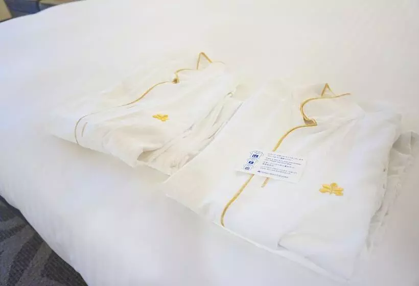デラックスルーム, Nikko Fukuoka