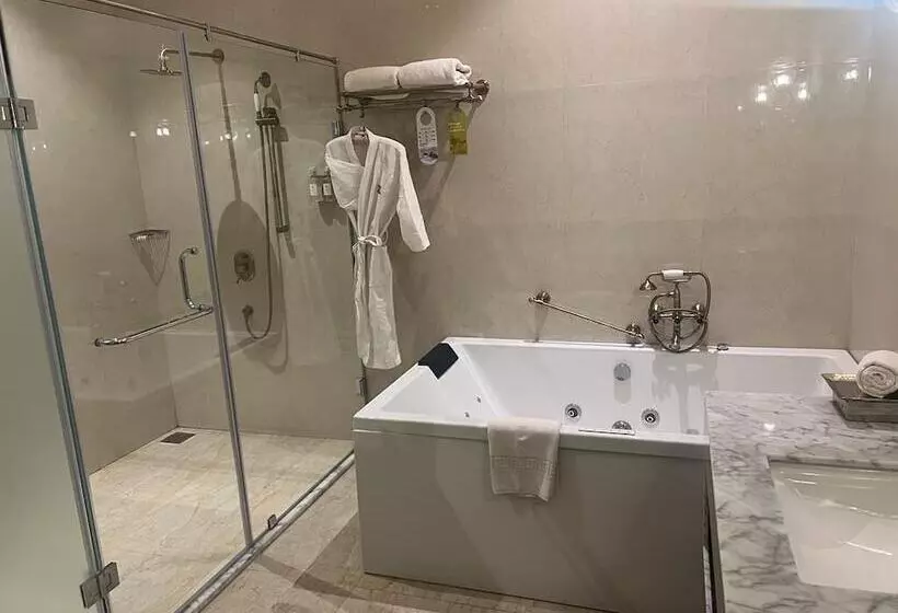 スイート, Royal Orchid Metropole Mysore