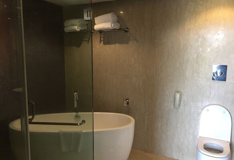 Президентский Люкс, The Park  Visakhapatnam