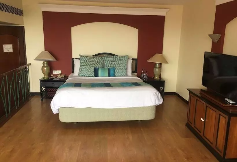 エクゼクティブスイート, The Park  Visakhapatnam