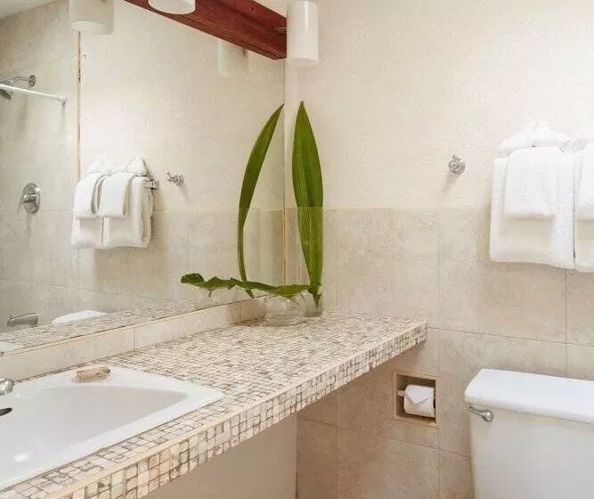 ویلای سوپریور 1 خوابه, Goblin Hill Villas At San San