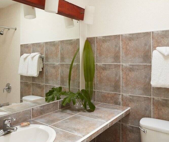 ویلای سوپریور 1 خوابه, Goblin Hill Villas At San San