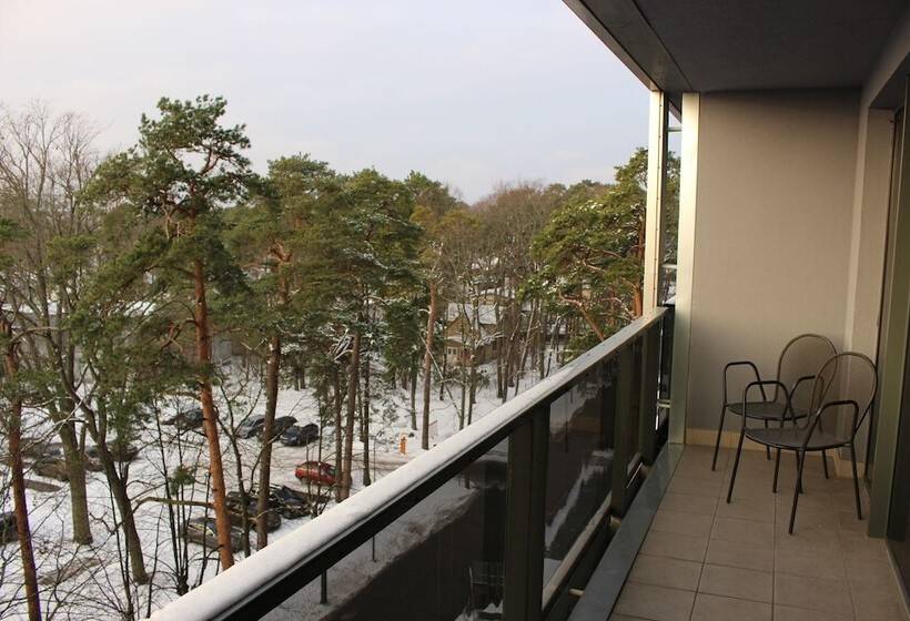 اتاق سوپریور, Jurmala Spa