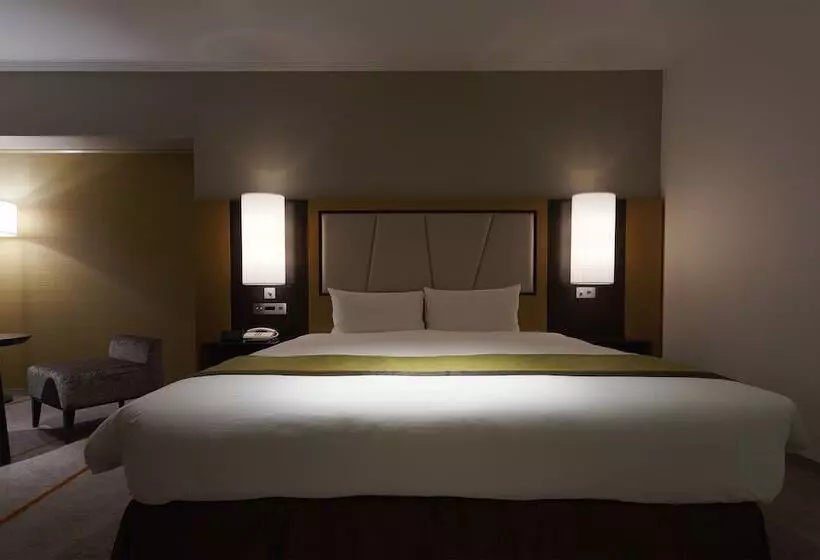 キングサイズベッドのデラックスルーム, Keio Plaza Hotel Tokyo