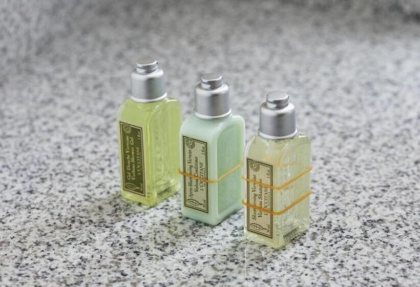 장애인용 디럭스룸, Keio Plaza Hotel Tokyo