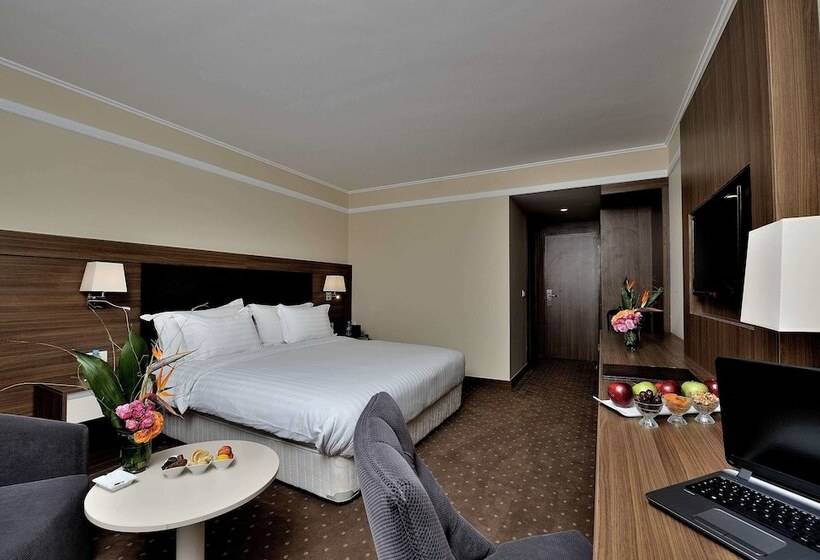 高级大房间, Kenzi Basma