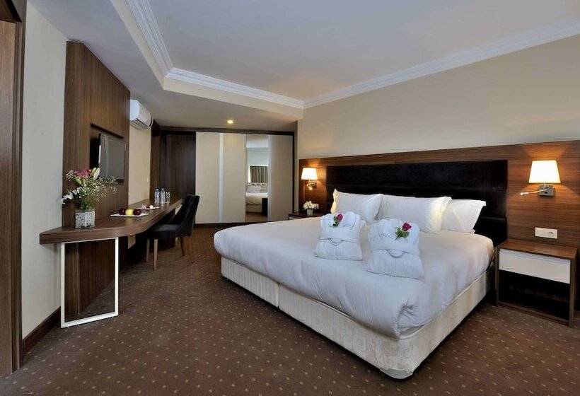 高级客房, Kenzi Basma