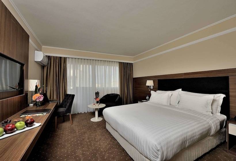 高级客房, Kenzi Basma