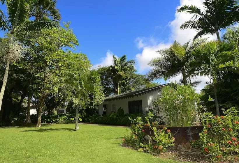 اتاق پرمیوم, Montpelier Nevis