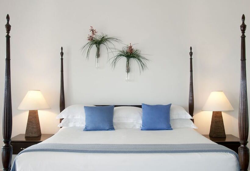 اتاق پرمیوم, Montpelier Plantation & Beach