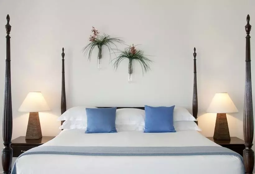 اتاق پرمیوم, Montpelier Nevis