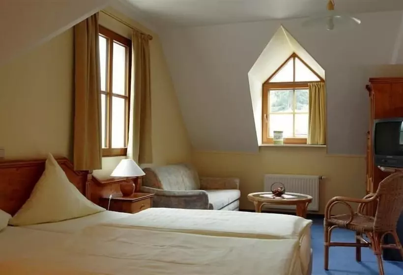 デラックスルーム, Logis Hotel Restaurant Petry