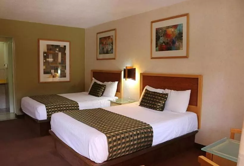 اتاق استاندارد با 2 تخت دوبل, Colonial Ciudad Juarez
