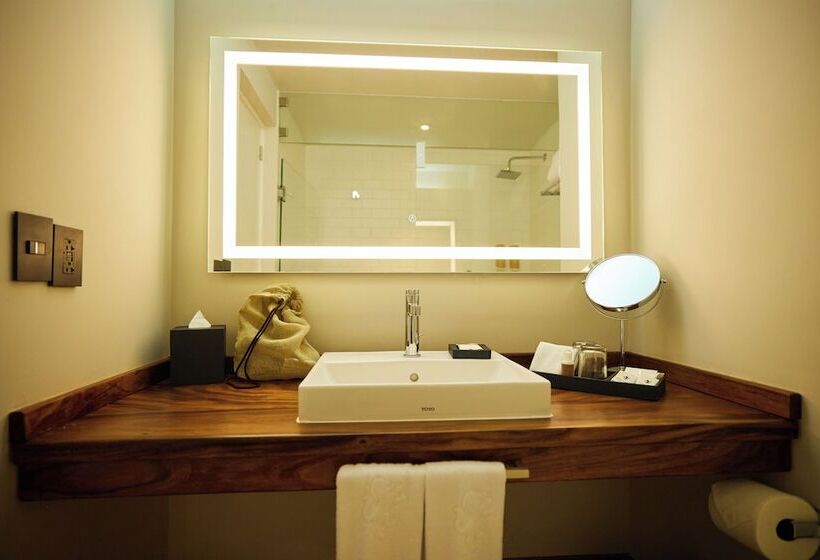 غرفة ديلوكس, Emporio Mazatlan