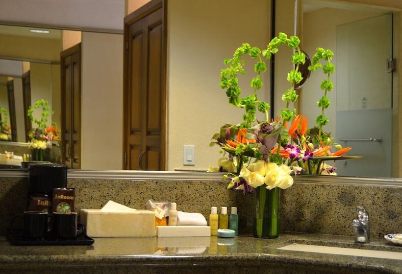 Номер Deluxe Вид на Море, Fiesta Americana Puerto Vallarta All Inclusive & Spa