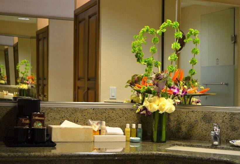 Номер Deluxe Вид на Море, Fiesta Americana Puerto Vallarta All Inclusive & Spa