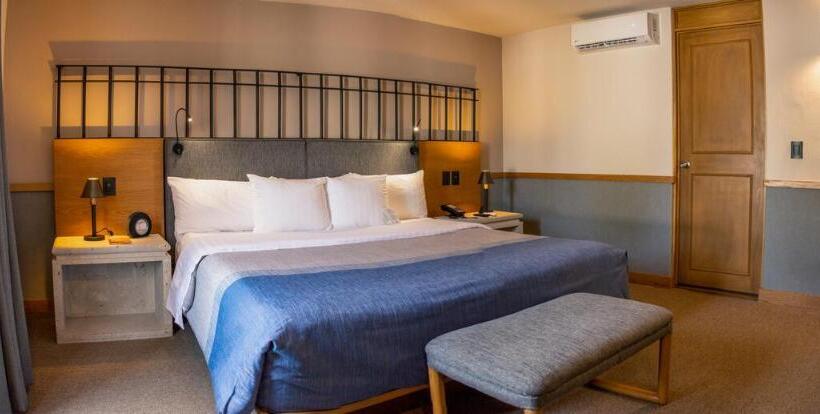 Номер Deluxe Кровать Кинг, Hacienda Jurica By Brisas