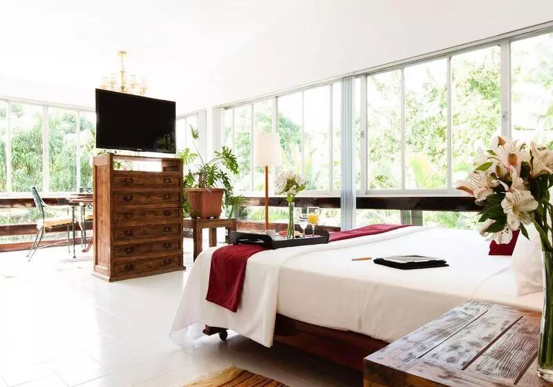 Standard Yhden Hengen Huone, Mision Palenque
