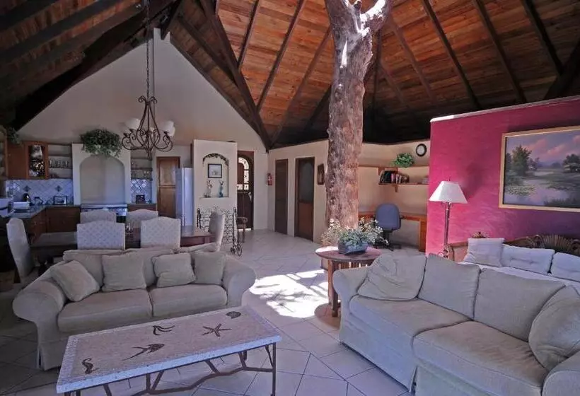 ویلای 1 خوابه, Hideaway Island Resort