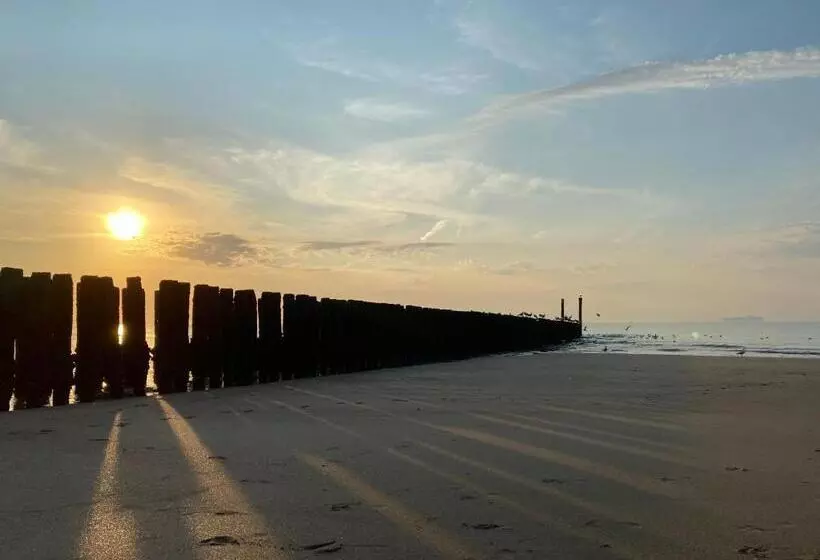 オーシャンビュースタンダードルーム, De Schelde