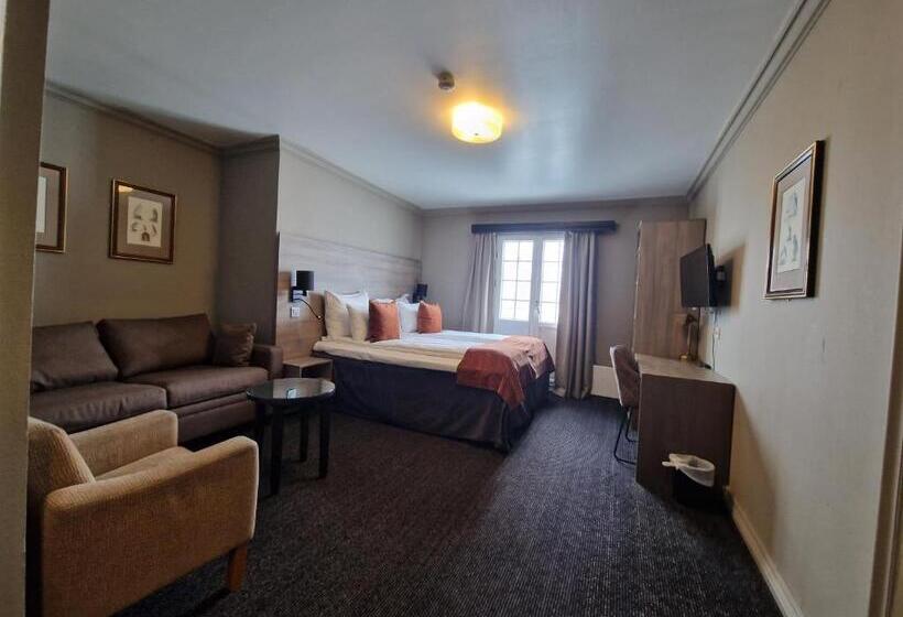 غرفة عائلية, Dr. Holms