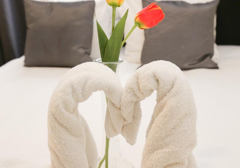 اتاق استاندارد, Flipper Amsterdam