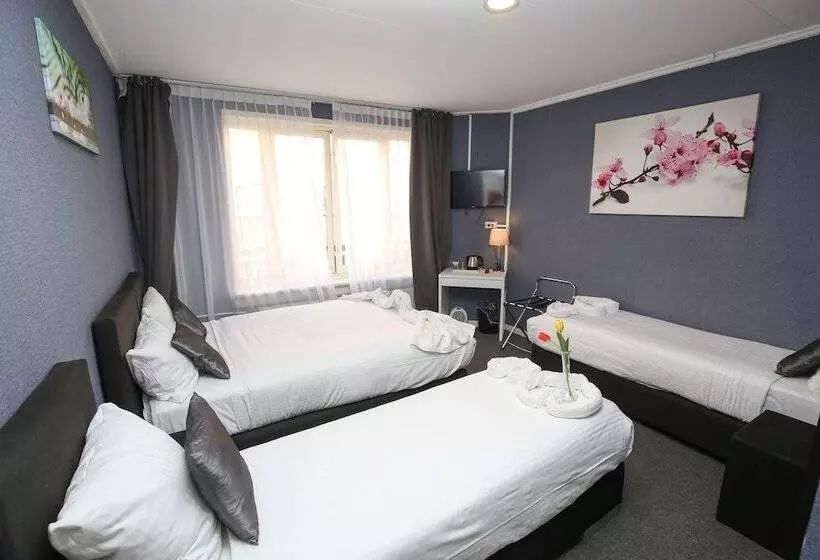 Standard Kolmen Hengen Huone, Flipper Amsterdam