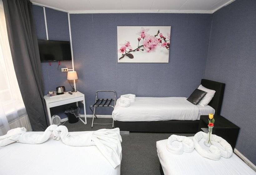 四人标准间, Flipper Amsterdam