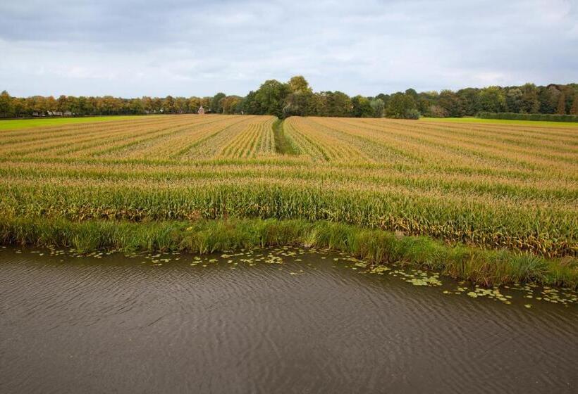 חדר סטנדרט, Het Wapen Van Harmelen