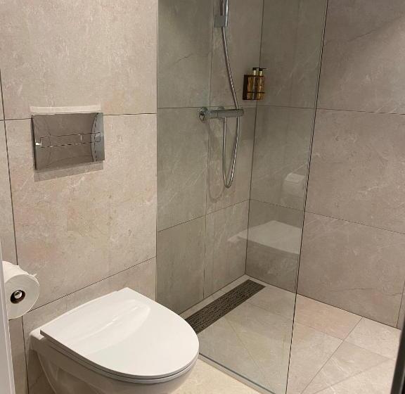 חדר סופריור, Rognan