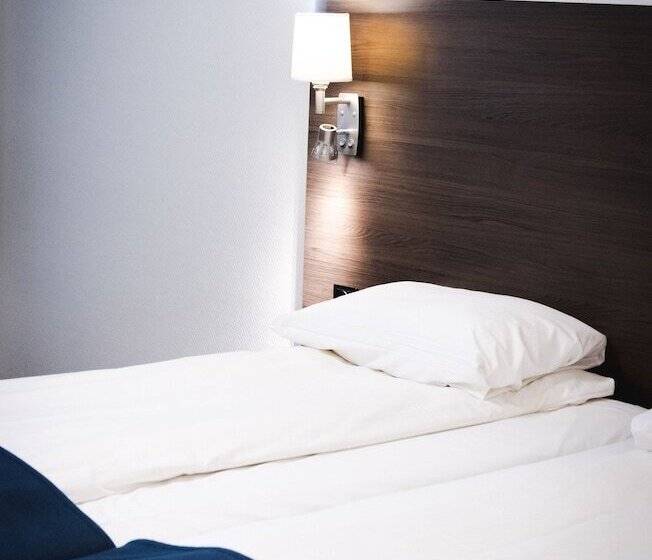 חדר סטנדרט, Rognan