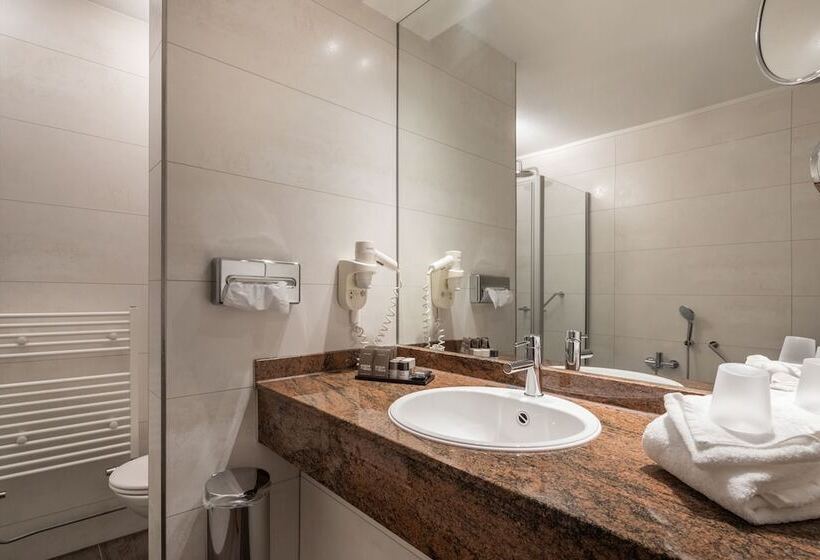 غرفة كومفورت, Van Der Valk De Gouden Leeuw