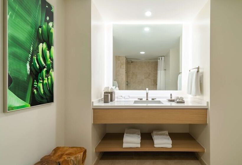 חדר אקונומי מיטה זוגית, Hyatt Regency Aruba Resort & Casino