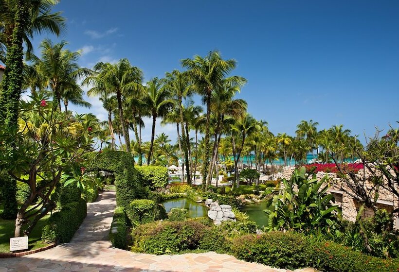 חדר סטנדרט שתי מיטות זוגיות, Hyatt Regency Aruba Resort & Casino
