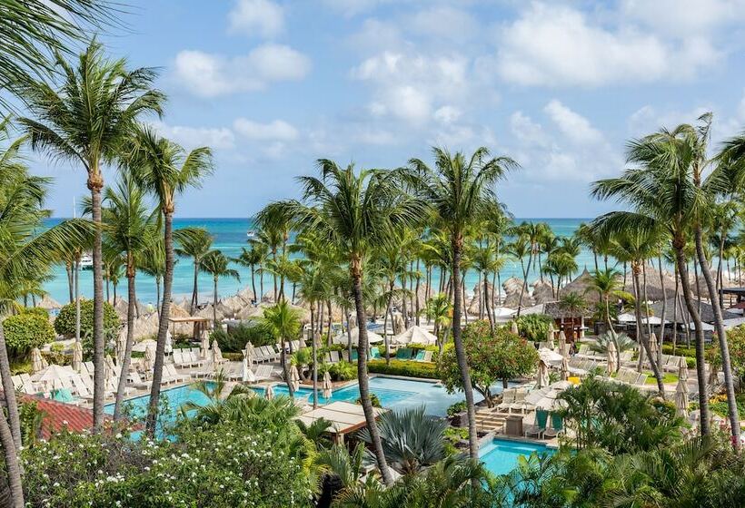 חדר אקונומי מיטה זוגית, Hyatt Regency Aruba Resort & Casino