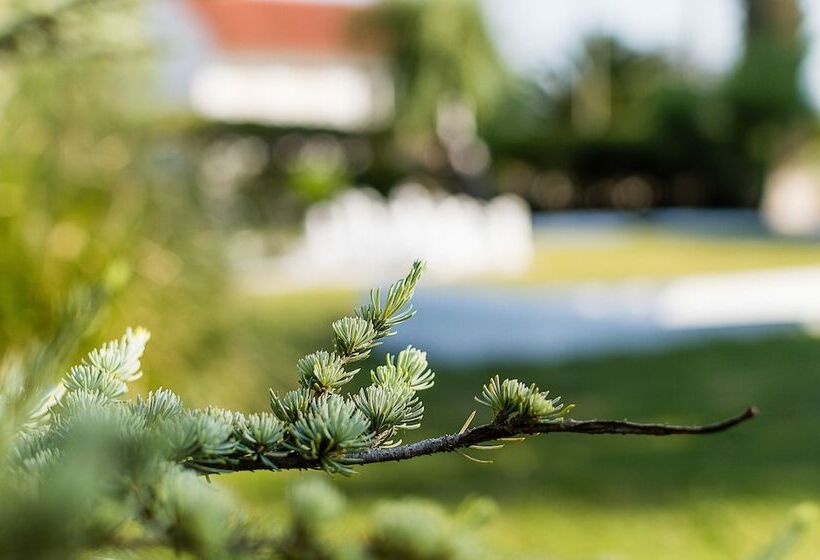 标准间, Casa Da Padeira   Turismo Rural