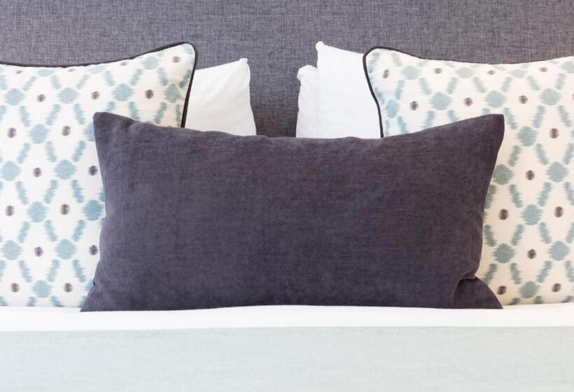 豪华工作室, Beechwood Boutique Accommodation