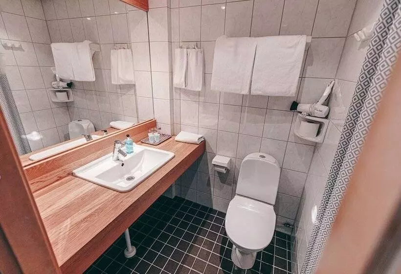 اتاق استاندارد با تخت بزرگ, Centro Hotel Turku
