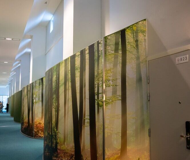 חדר סופריור מותאם לאדם עם מוגבלויות, Ikaalinen Spa & Resort