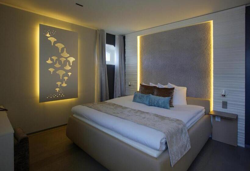 חדר סטודיו סטנדרד, Klaus K