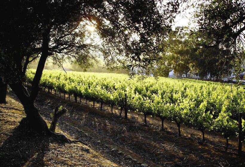 סוויטה אקזקיוטיב, The Devon Valley