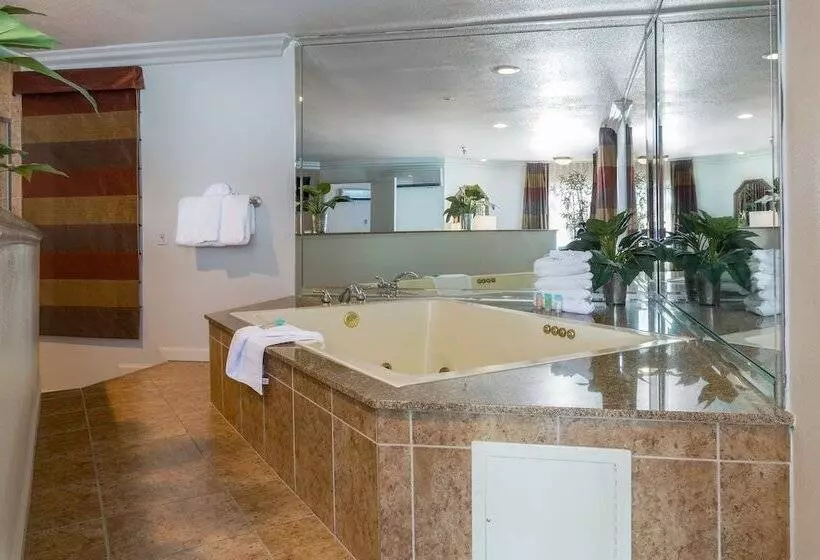 Sviitti, Alexis Park All Suite Resort