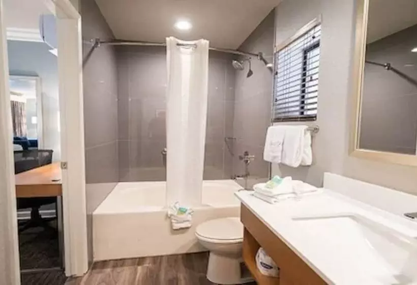 Deluxe-huone, Alexis Park All Suite Resort
