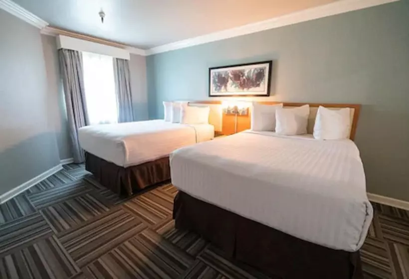Sviitti, Alexis Park All Suite Resort