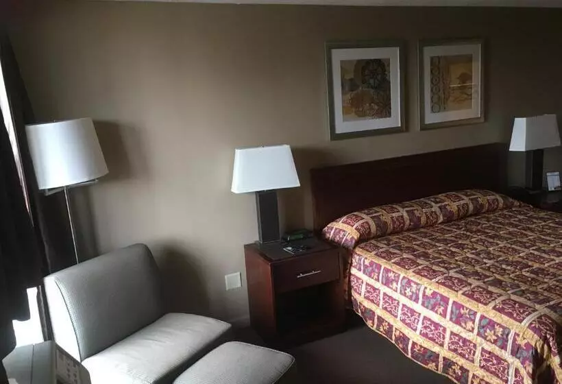 اتاق استاندارد با تخت بزرگ, Allen Park Motor Lodge