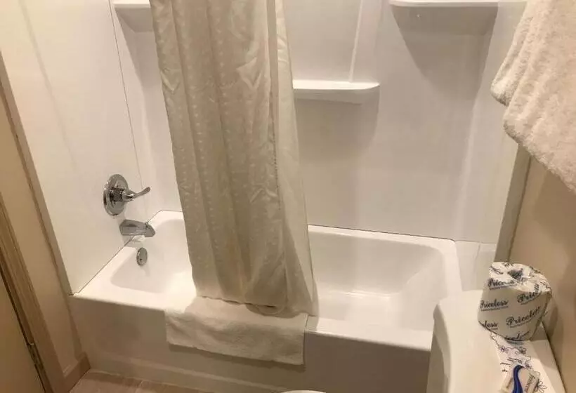 اتاق استاندارد با تخت بزرگ, Allen Park Motor Lodge