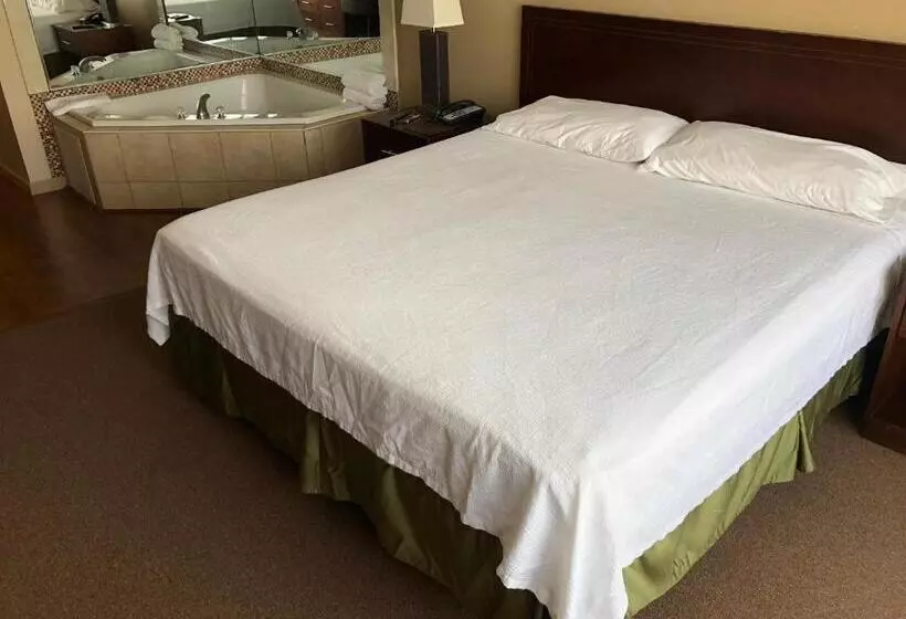 سوئیت با وان آب گرم, Allen Park Motor Lodge