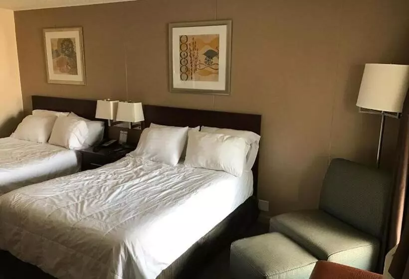 اتاق استاندارد برای معلولان, Allen Park Motor Lodge