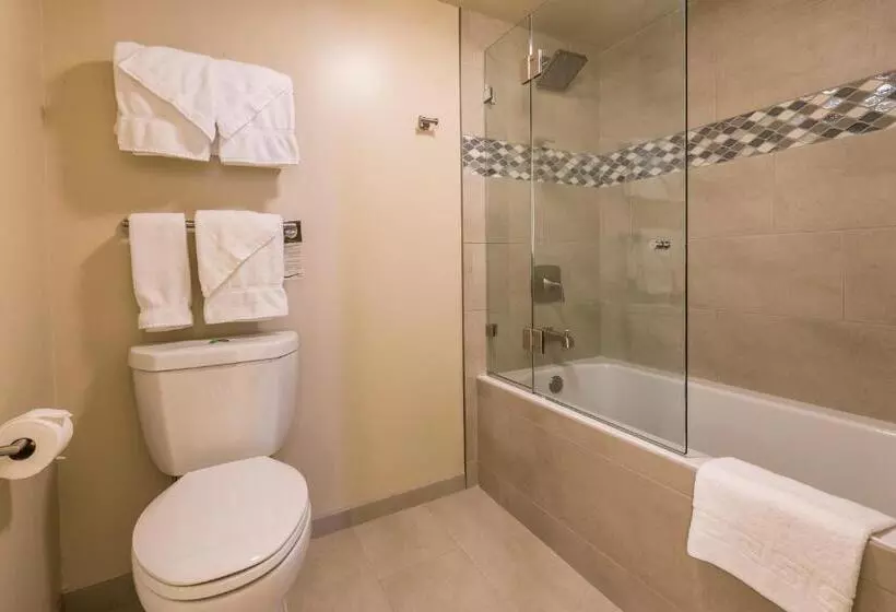 آپارتمان 1 خوابه با چشم‌انداز دریا, Aston Waikiki Beach Tower