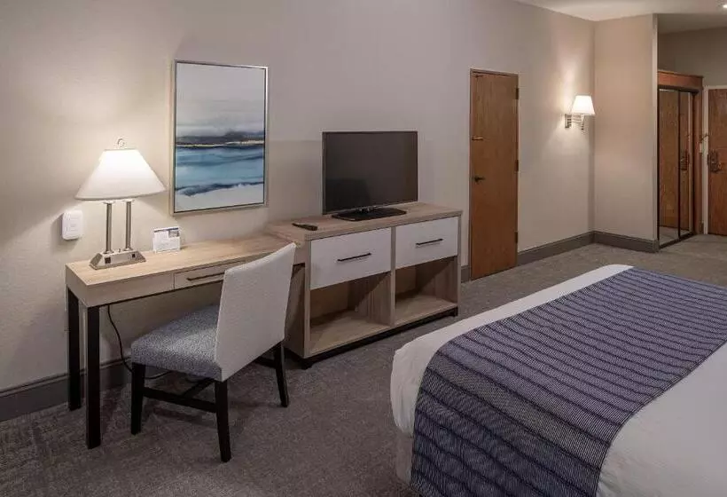 اتاق استاندارد با تخت بزرگ, Bay Club Hotel And Marina